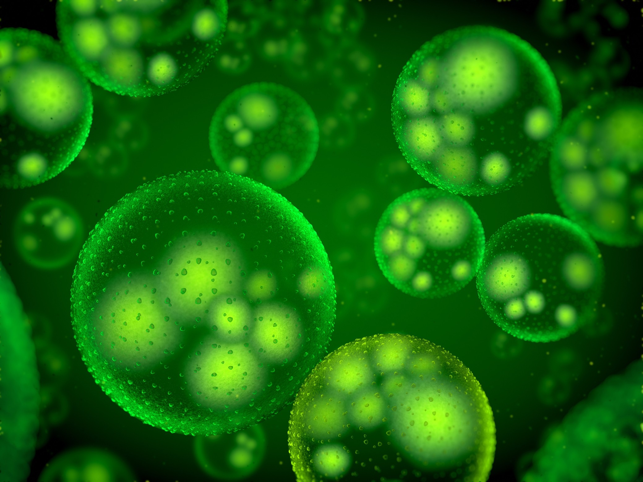 bacterie